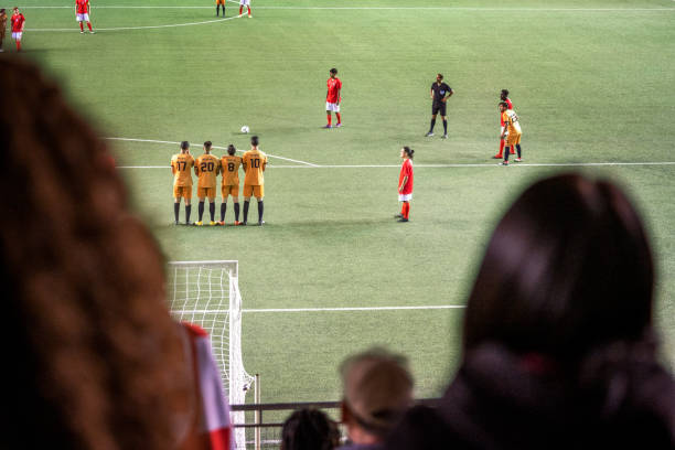 礼的欢乐气 礼的欢乐气